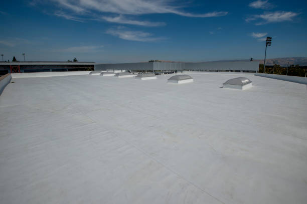 Best Gutter Installation and Repair  in Esko, MN