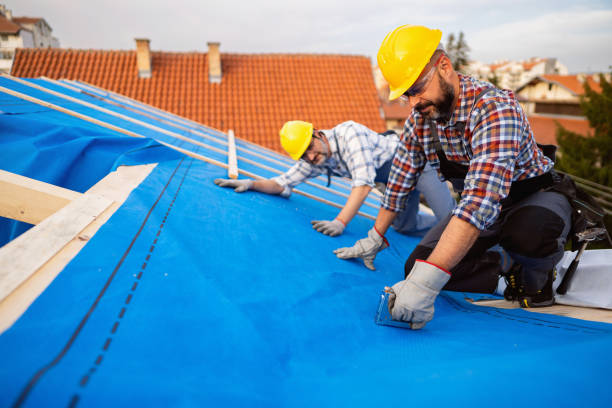 Best Chimney Flashing Repair  in Esko, MN